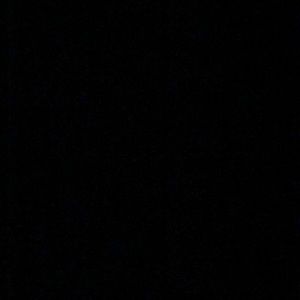 Meet your Posher, Autumn